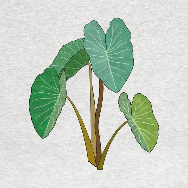 Kalo (Taro) Plant by peachycrossing